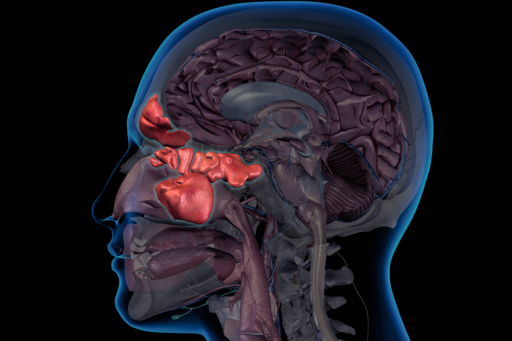 Does Your Nose Whistle When You Breathe? Here’s Why Facial Plastic