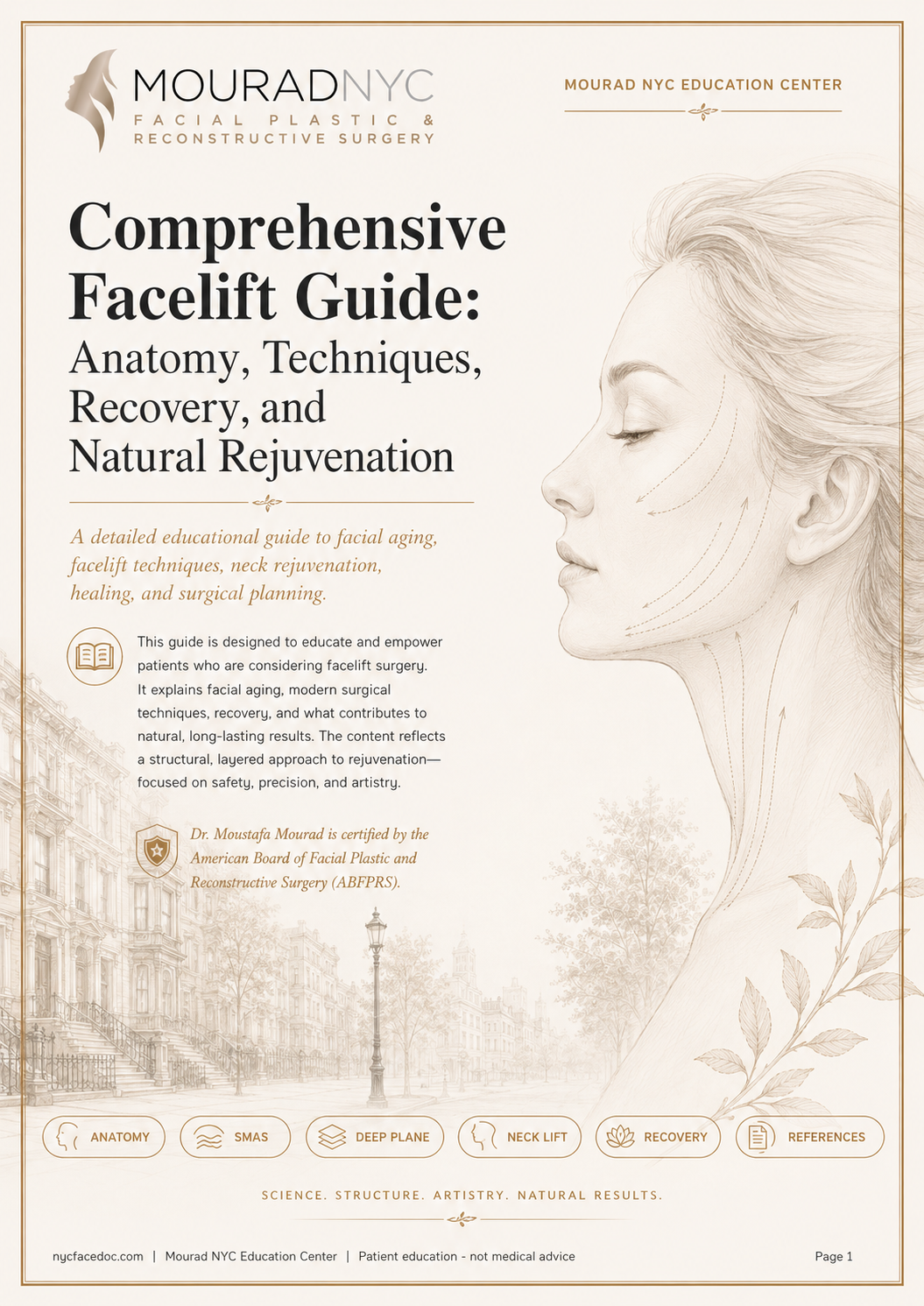 Comprehensive Facelift Guide — page 1: Cover