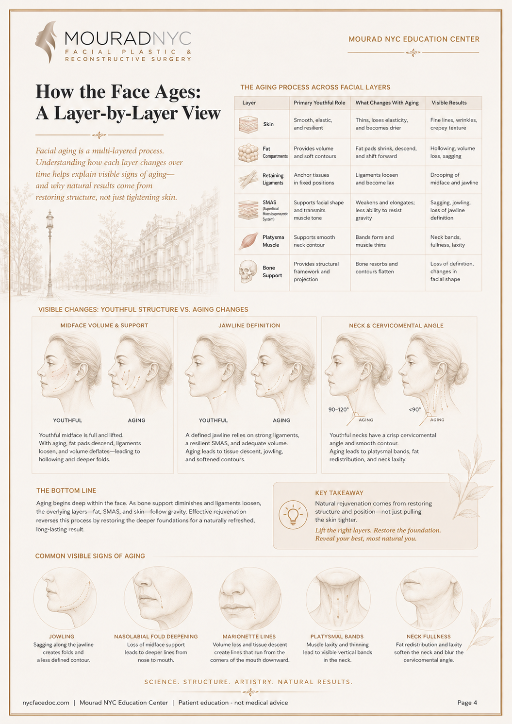 Comprehensive Facelift Guide — page 4: How the Face Ages