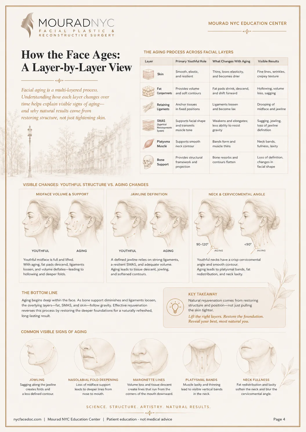 Comprehensive Facelift Guide — page 4: How the Face Ages
