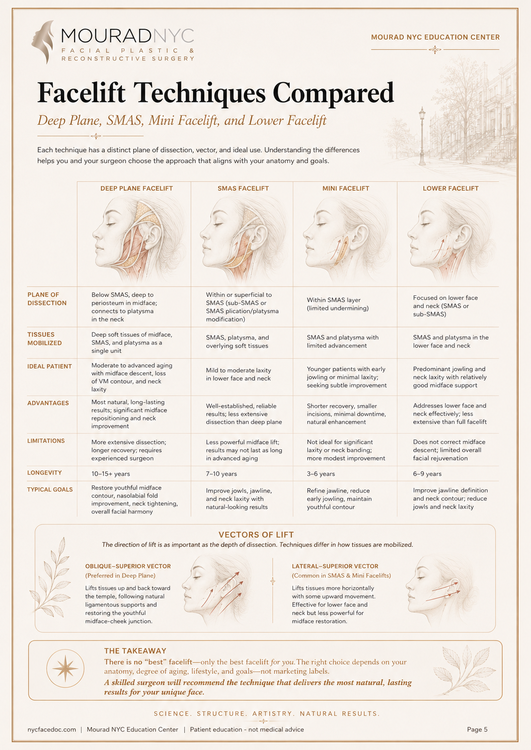 Comprehensive Facelift Guide — page 5: Surgical Techniques
