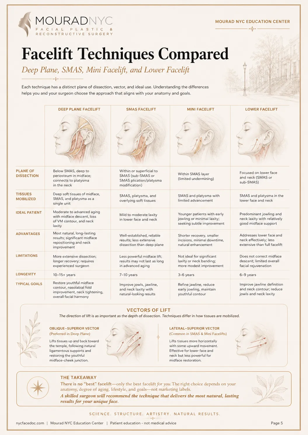Comprehensive Facelift Guide — page 5: Surgical Techniques