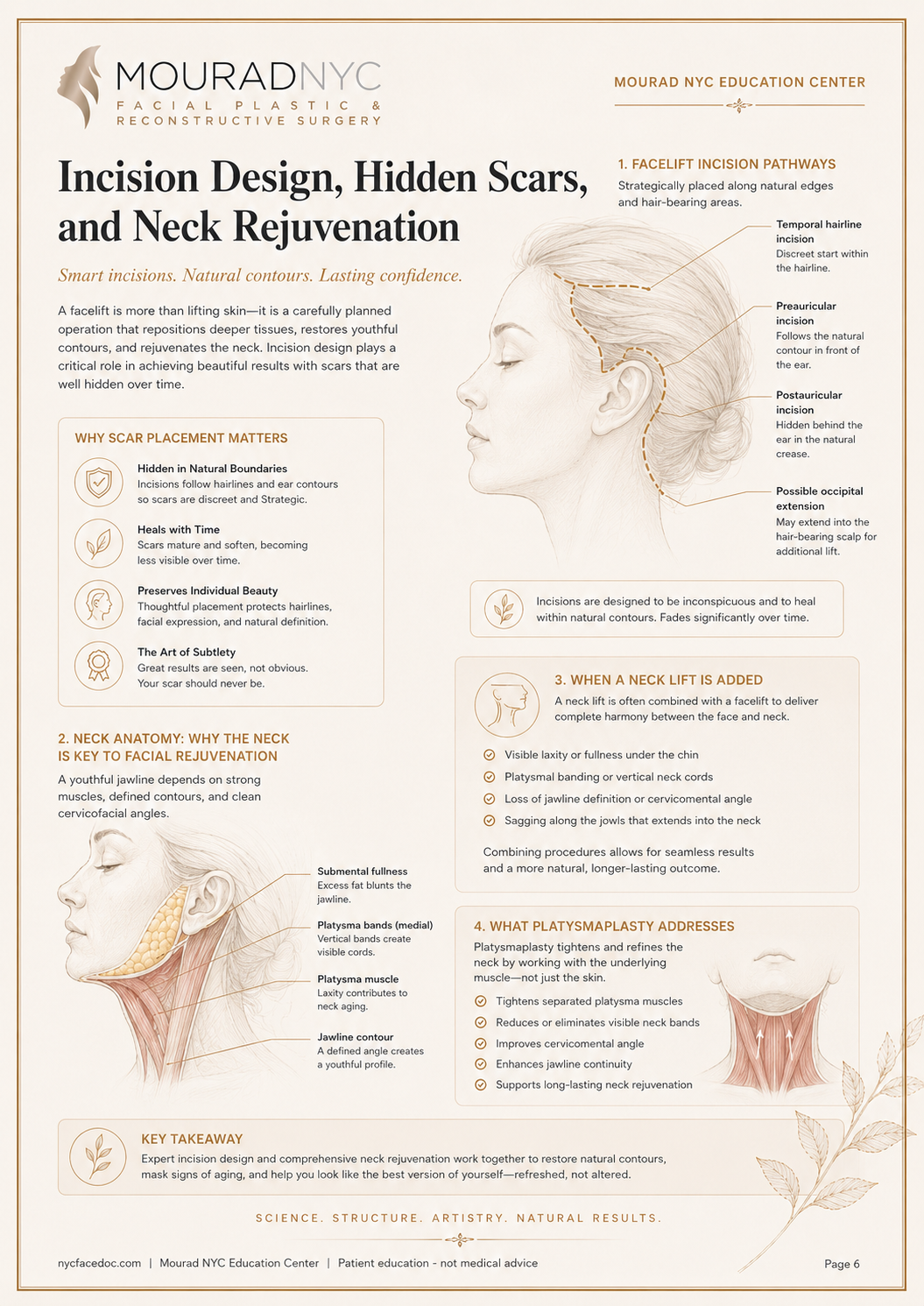 Comprehensive Facelift Guide — page 6: The Deep Plane Facelift in Detail