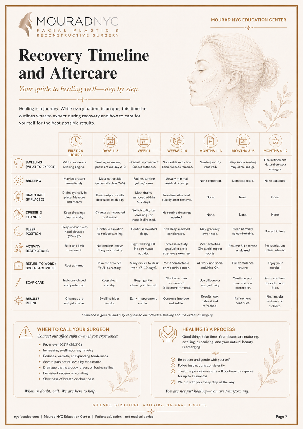 Comprehensive Facelift Guide — page 7: Adjunct Procedures and Complementary Work