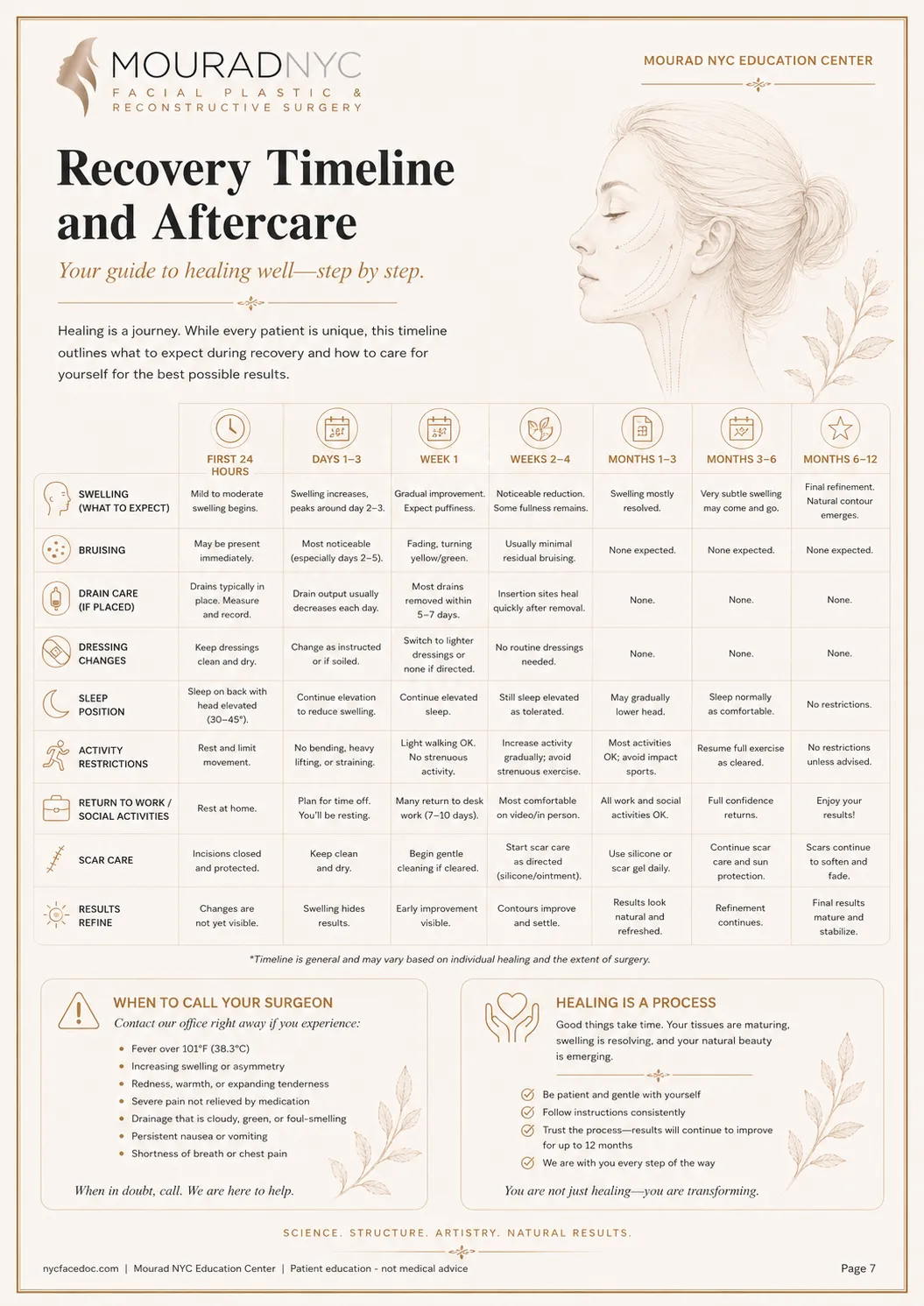 Comprehensive Facelift Guide — page 7: Adjunct Procedures and Complementary Work