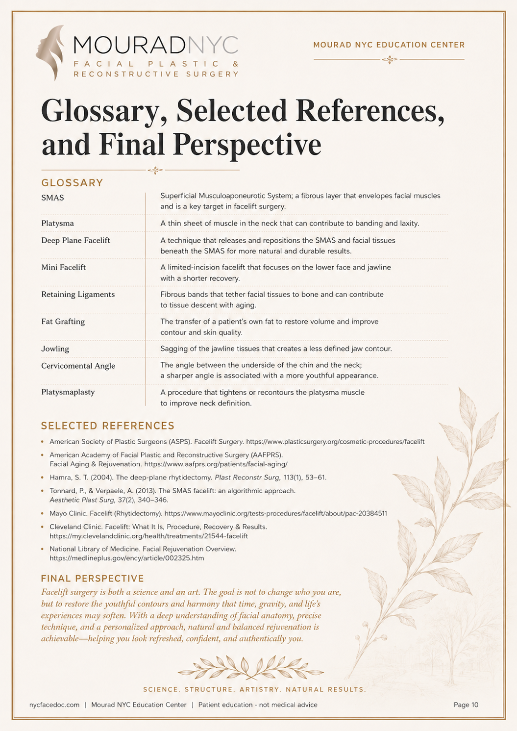 Comprehensive Facelift Guide — page 10: FAQ, Glossary, and References