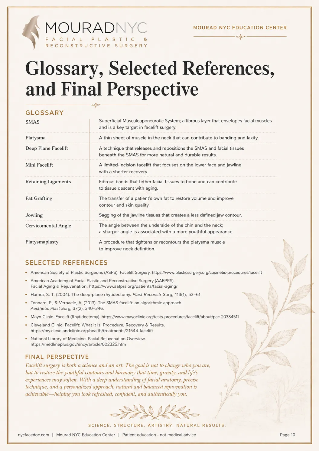 Comprehensive Facelift Guide — page 10: FAQ, Glossary, and References