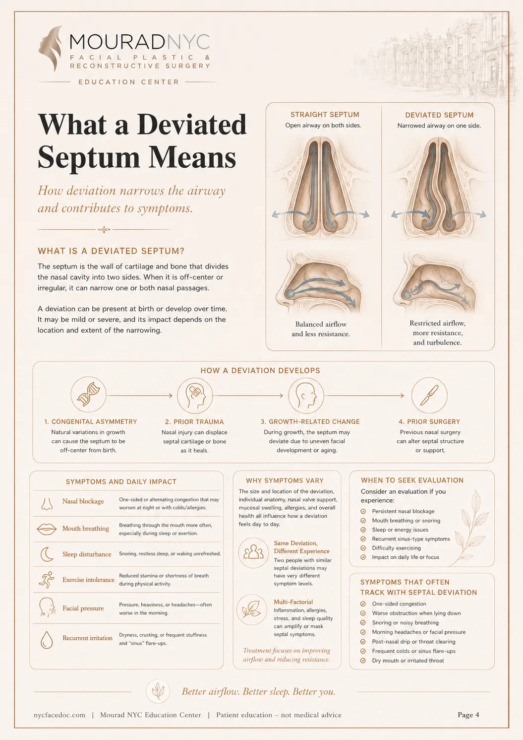 Septoplasty Guide — page 4: What a Deviated Septum Means