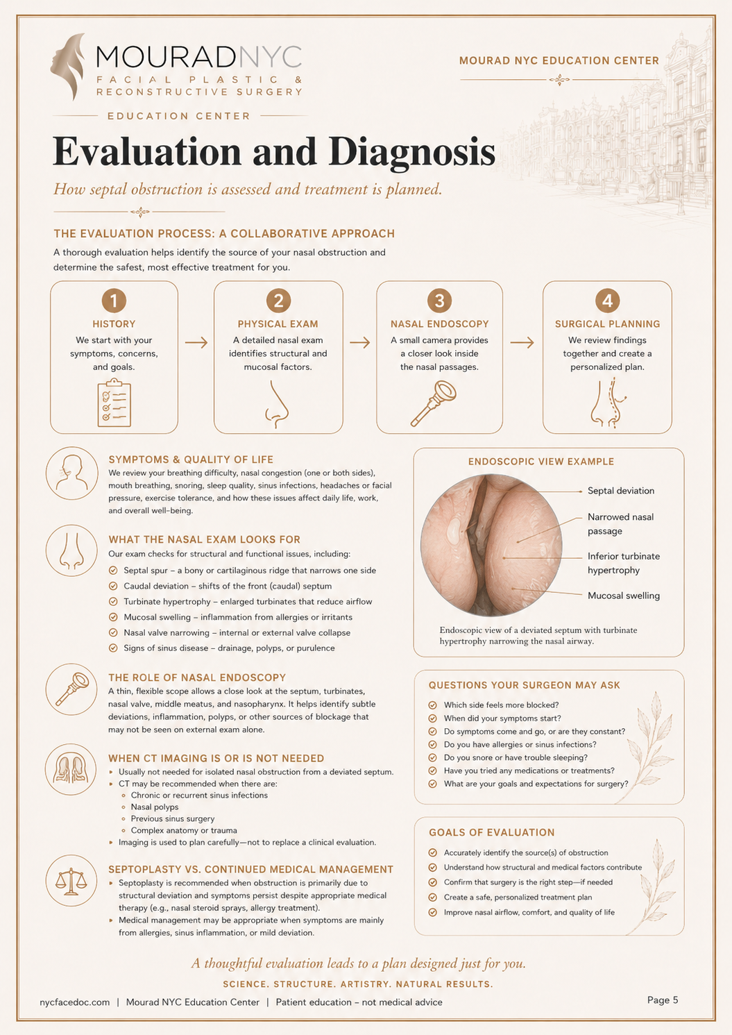 Septoplasty Guide — page 5: Evaluation and Diagnosis