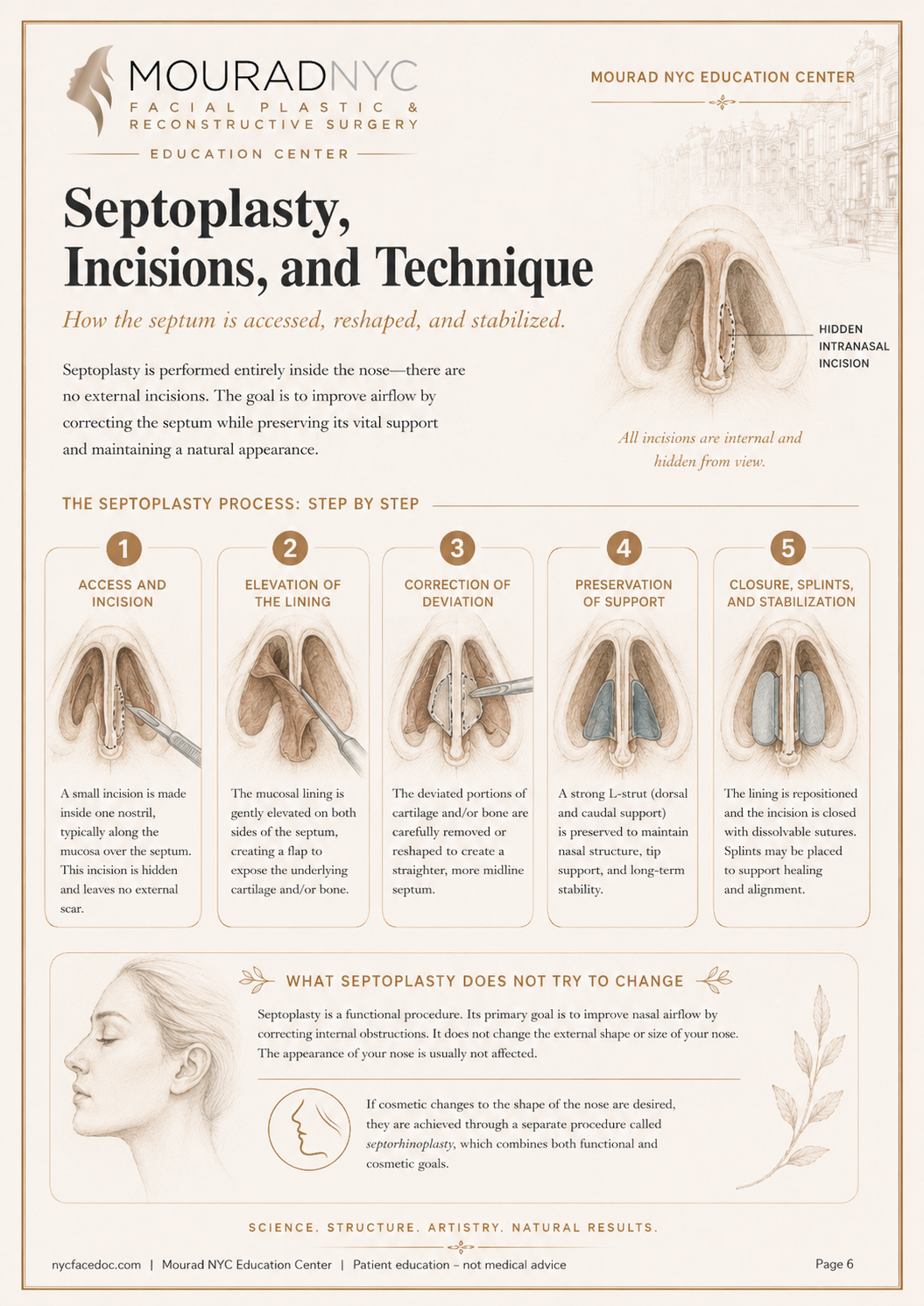 Septoplasty Guide — page 6: Septoplasty, Incisions, and Technique